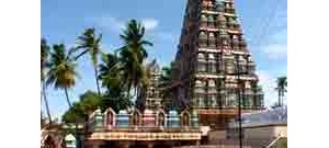 208. திருப்புக்கொளியூர்